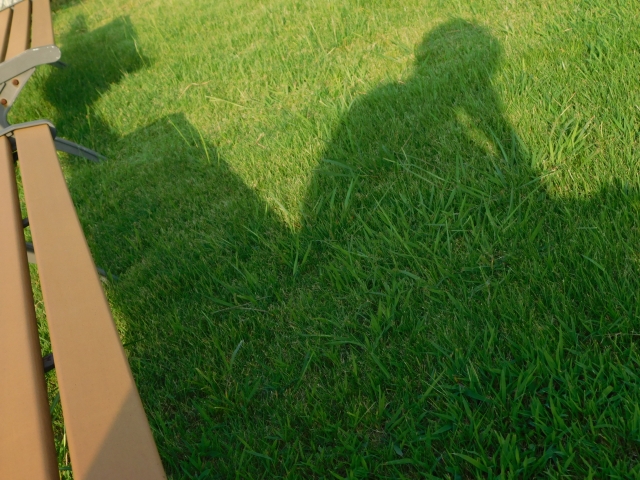 thinking_and_shadow